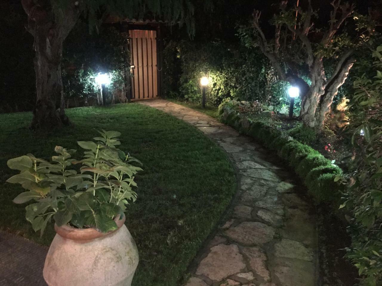 Villa Venere Near The Sea- 25 Minutes To S.Peter Ladispoli Exterior photo